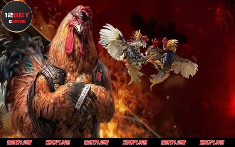 Người chơi nên nắm bắt các thể loại đá gà 12BET trực tuyến